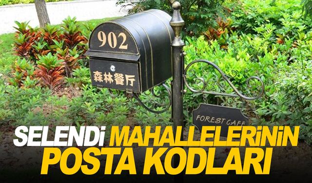 Manisa Selendi ilçesi tüm mahalleleri posta kodları