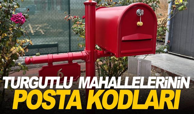 Manisa Turgutlu ilçesi tüm mahalleleri posta kodları