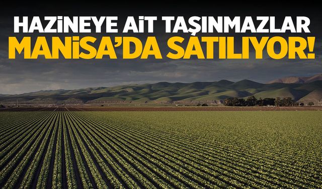 Manisa’da hazineye ait taşınmazlar satışa çıkarılıyor!