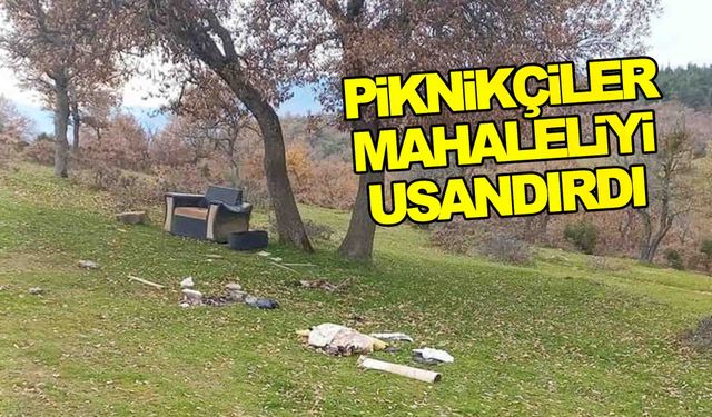 Manisa’da piknikçiler mahalleliyi usandırdı!