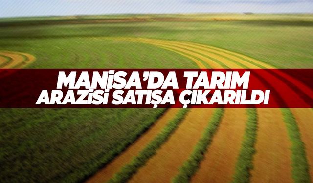 Manisa’da tarım arazisi satışa çıkarıldı