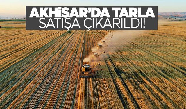 Manisa’da tarla satışa çıktı!