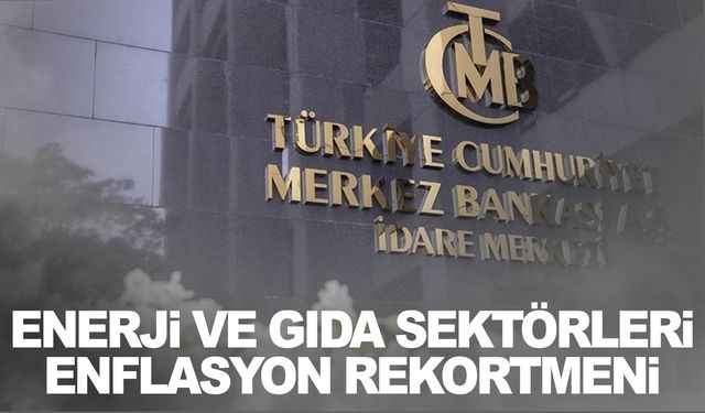 Merkez Bankası aylık fiyat gelişmeleri raporunu yayımladı