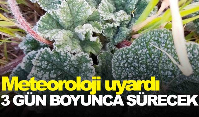 Meteoroloji Manisa ve ilçelerini uyardı… 3 gün boyunca etkili olacak!