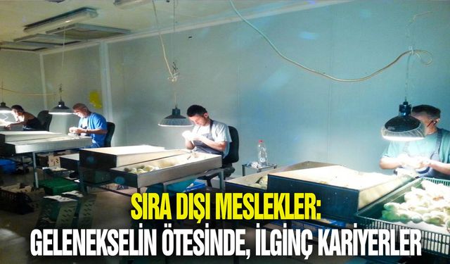 Sıra dışı meslekler: Gelenekselin ötesinde, ilginç kariyerler