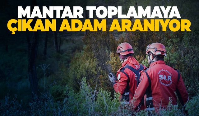 Muğla’da mantar toplamaya çıkan yaşlı adam aranıyor! 4 gündür kayıp!