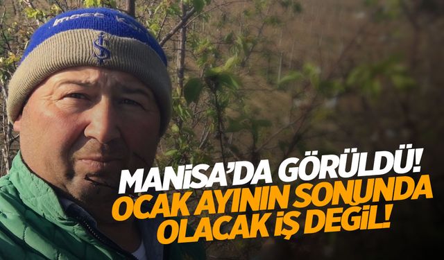 Olacak iş değil! Manisa'da görüldü... Endişelendiler