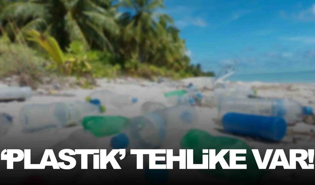 Plastik yiyor plastik içiyoruz!