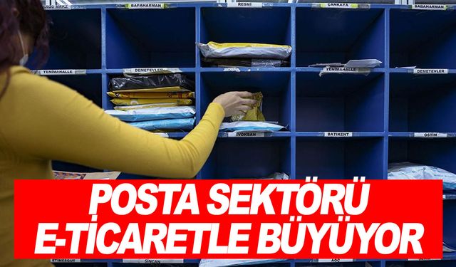 Sektörün satış geliri iki katına çıktı