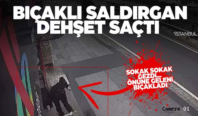 Sokak sokak gezdi, önüne geleni bıçakladı