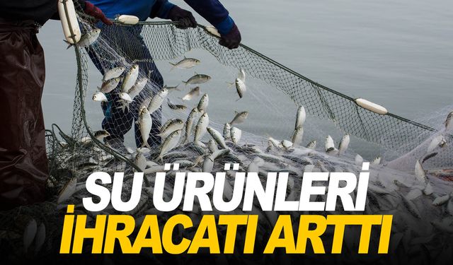 Su ürünleri ihracatı 2023 yılında 1,7 milyar dolara ulaştı