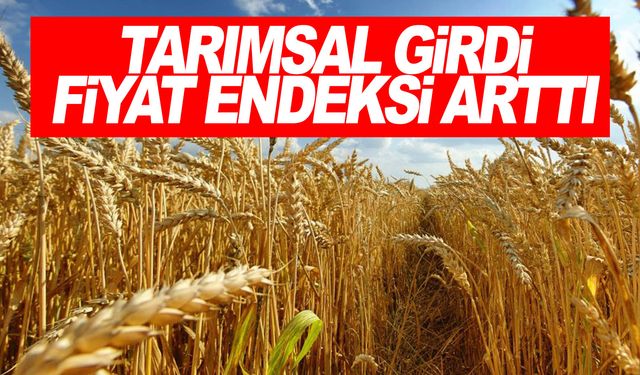 Tarım-GFE yıllık yüzde 38,82 arttı