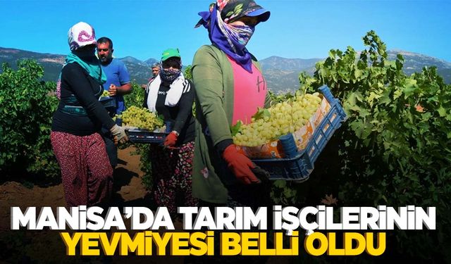 Manisa Salihli’de tarım işçilerinin ücretleri belli oldu!