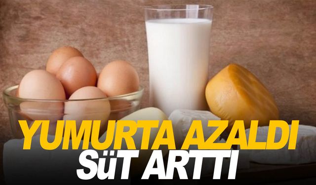 Tavuk yumurtası üretimi azaldı, süt miktarı arttı