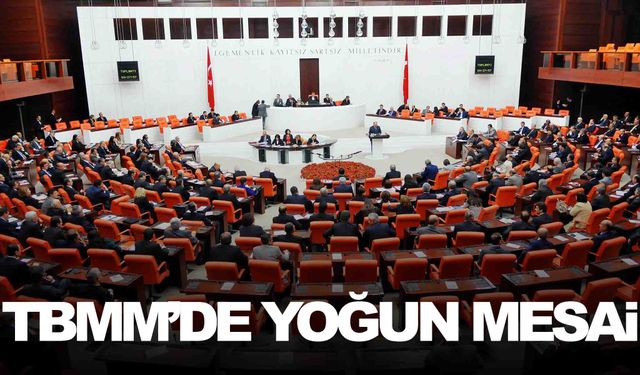 TBMM’de yoğun mesai… Gündemde önemli konular var!