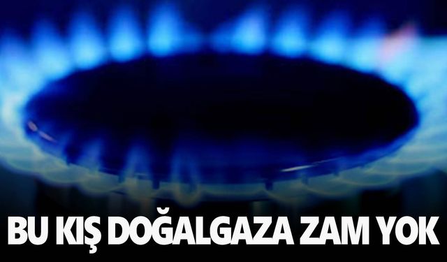 Bakan açıkladı: Doğalgaza zam yok