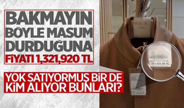 Türkiye’de milyonluk kaban yok satıyor: Adet fiyatı 1 milyon 321 bin 902 TL