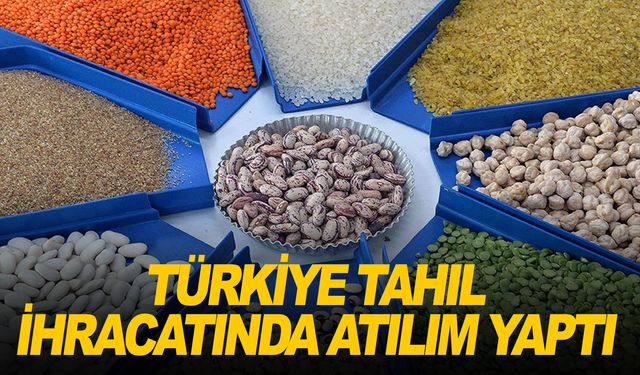 Türkiye'den 2023'te 12,4 milyar dolarlık hububat ve bakliyat ihracatı