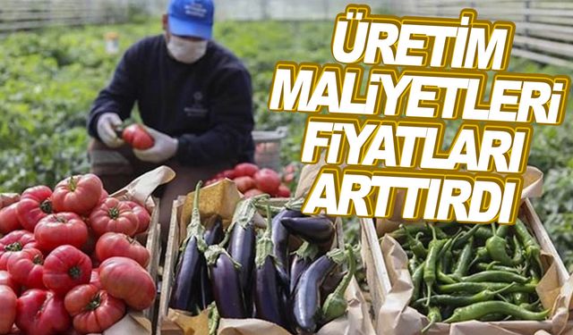 Üretici ile market arasındaki fiyat farklılıklarını değerlendirildi