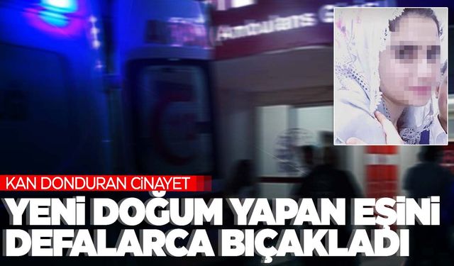 Yeni doğum yapan eşini taburcu olduğu gün katletti!