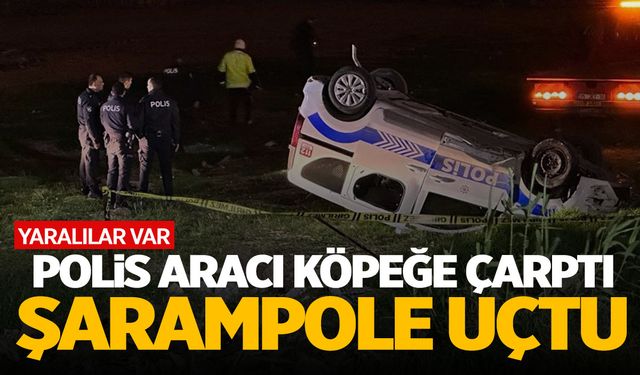 Yolda köpeğe çarpan polis aracı şarampole uçtu! 1'i ağır 3 polis yaralı