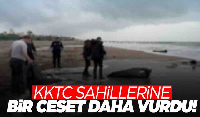 Antalya ve Muğla'nın ardından şimdi de KKTC kıyıları... Sahiller mezarlığa döndü!