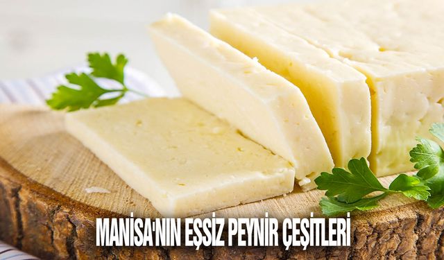 Manisa'nın zengin peynir kültürü!