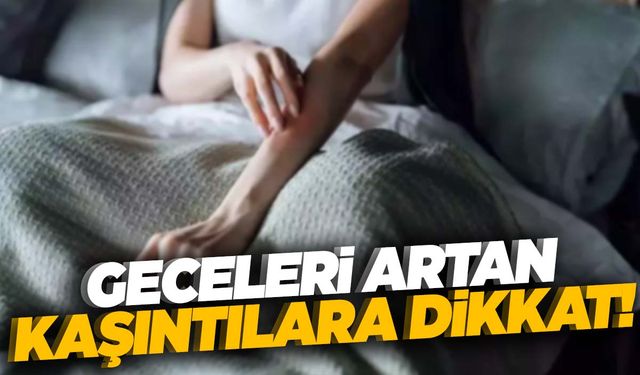 Dünyada 300 milyon kişiyi etkisi altına alıyor… Geceleri kaşıntılarınız artıyorsa dikkat!