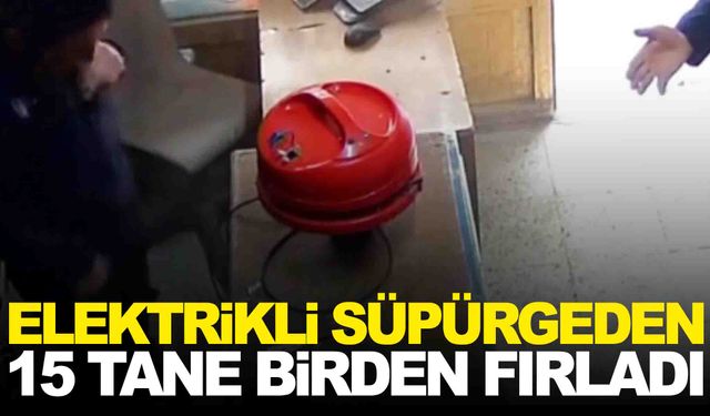 Elektrikli süpürgeden fırladı… 15 tanesi birden!