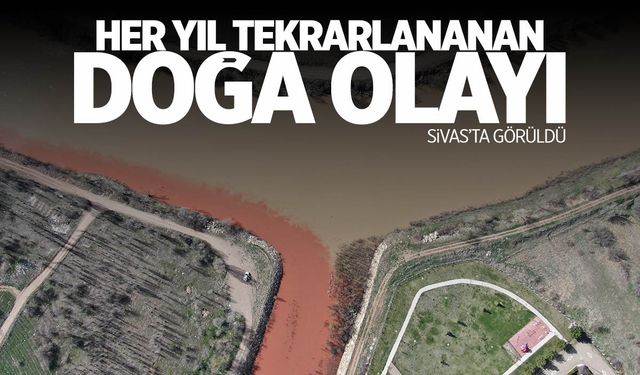 Her yıl tekrarlanan ilginç doğa hayrete düşürdü