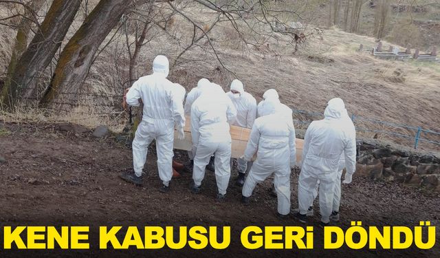 Erzurum’da kene can aldı!