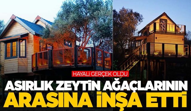 Manisa’da asırlık zeytin ağaçlarının arasına inşa etti… Görenlerin ilgisini çekiyor!