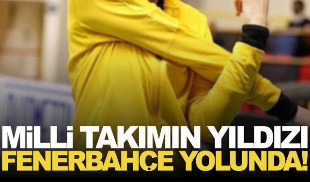 Milli yıldız Fenerbahçe yolunda!