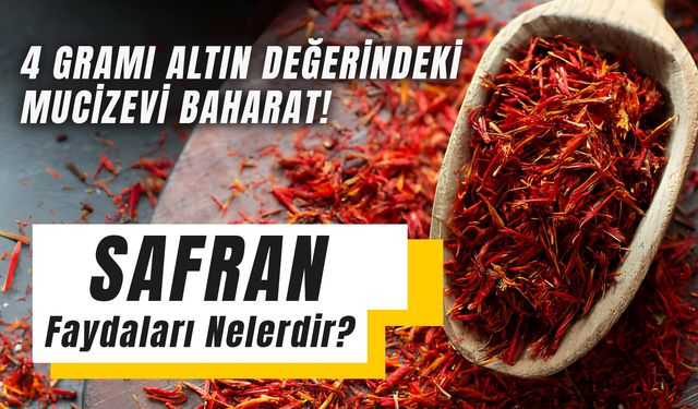 Safranın Faydaları: Dünyanın En Değerli Baharatı Safran Nedir? Nasıl Kullanılır? 1 Gram Safran Ne Kadar?