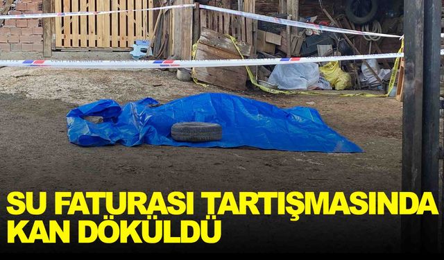 Su faturası tartışmasında köy muhtarını öldürdü!