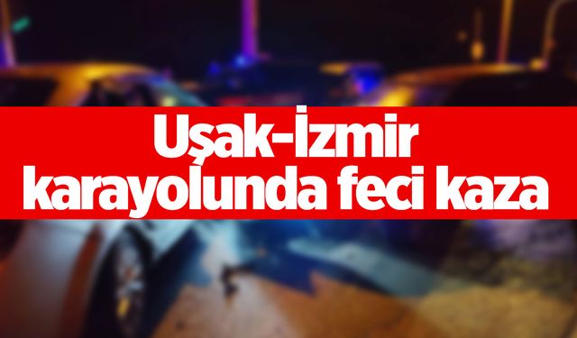 Yaşlı kadına kamyon çarptı