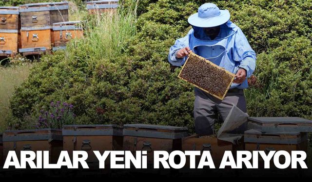 İklim değişiklikleri arıcıları yeni rotalara yöneltti!