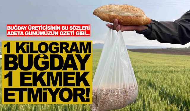 1 kilogram buğday 1 ekmek etmiyor