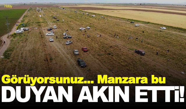 80 dönüm araziye ekmişti… Vatandaşlara bıraktı!