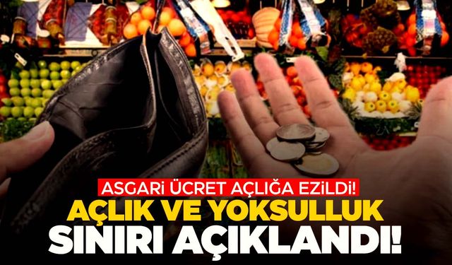 Açlık sınırı asgari ücreti aştı!