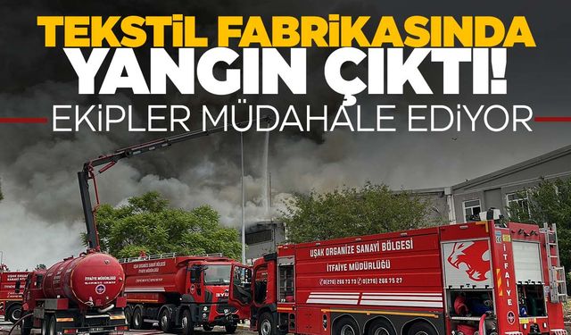 Alevler kısa sürede her yeri sardı… Uşak’ta tekstil fabrikasında yangın!