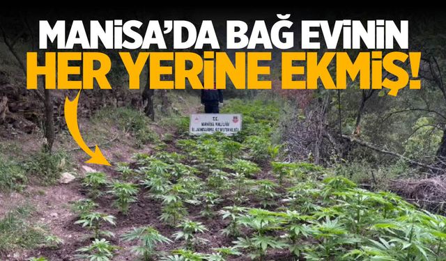 Bağ evinin her yeri bunlarla dolu... Hemen gözaltına alındı