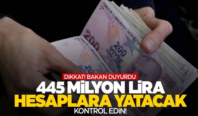 Bakan müjdeli haberi duyurdu… 445 milyon TL hesaplarda!