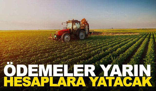 Bakan Yumaklı duyurdu! Ödemeler yarın hesaplarda saatler kaldı…