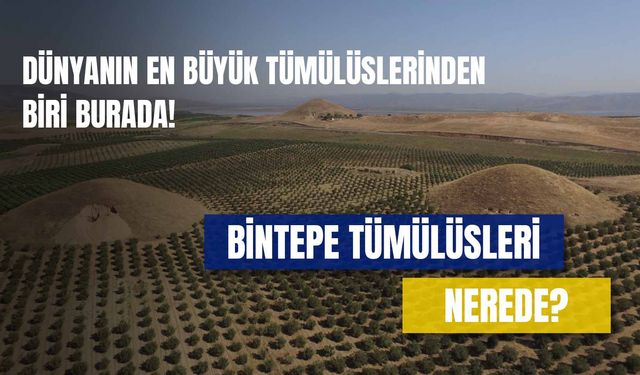 Anadolu’nun Piramitleri Bintepeler Nerede? Manisa Dünyanın En Büyük Tümülüslerinden Birine Ev Sahipliği Yapıyor!