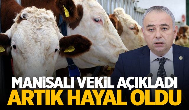 CHP Manisa Milletvekili Bakırlıoğlu’ndan şok iddia! Rekora gidiyor…