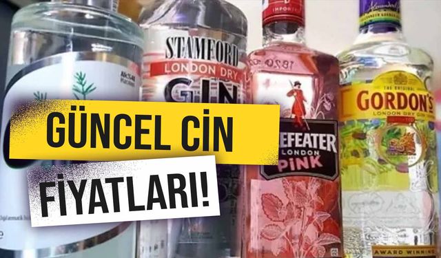 Cin Fiyatları 2024: Gordon's, Beefater, Gilbey's Güncel Fiyat Listesi