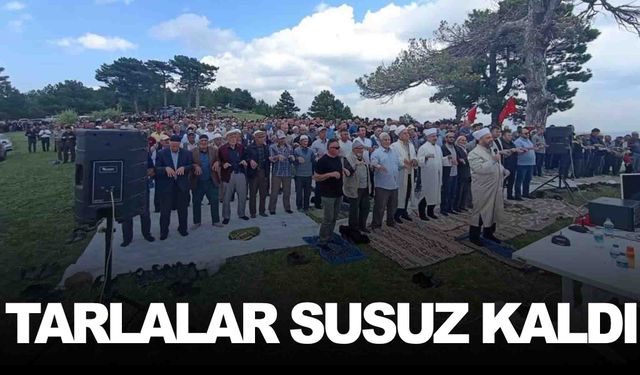 Ege’de yağmur duası… Tarlalar susuz kaldı!