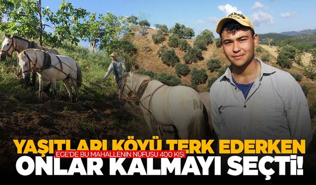 Egeli gençler köyüne sahip çıktı! Günlük kazançları şok edecek!