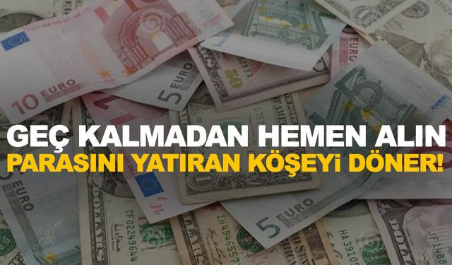 En çok kazandıranı uzmanı açıkladı! Parasını buna yatıran köşeyi dönecek